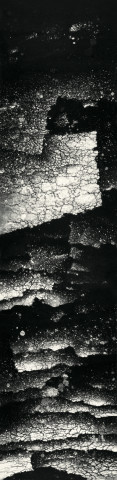 张羽 Zhang Yu , Divine Light 2000-8 灵光 2000-8, 2000