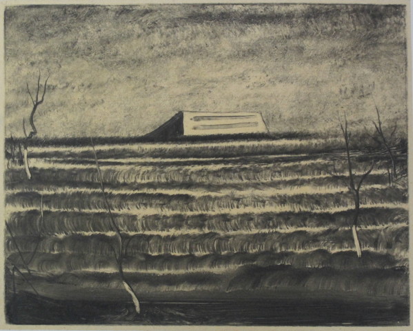 张雷 Zhang Lei , A Cement House in the Fields 田里的水泥房, 2013