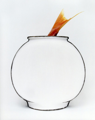 Cynthia Greig, Representation No. 27 (fishbowl), 2003