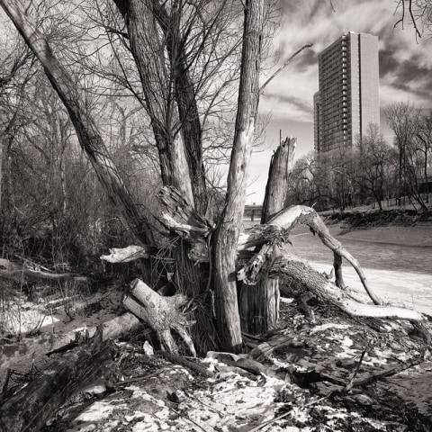 William Eakin, Shelter B300589, 2020