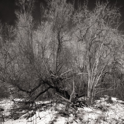 William Eakin, Shelter B300087, 2020