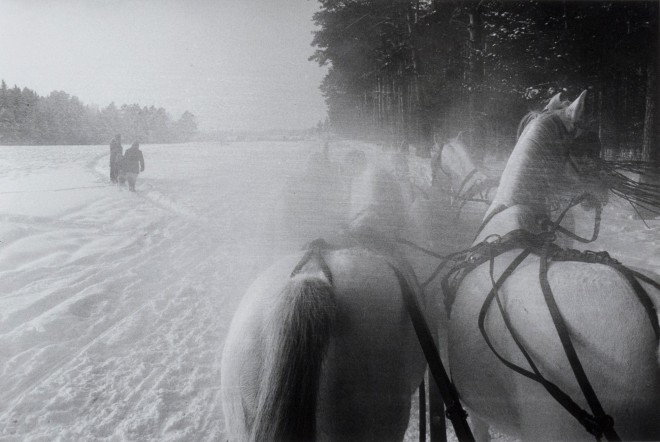 Inge Morath, Five horse sleigh on a stud farm 40 miles west of Moscow (Schlitten, Russland), 1965