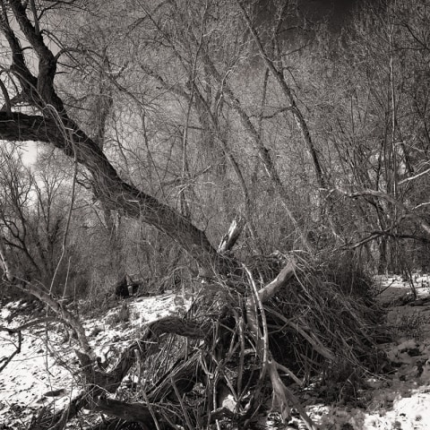 William Eakin, Shelter B300015, 2020