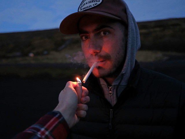 Wynne Neilly, Kyle Bums a Light A, 2018