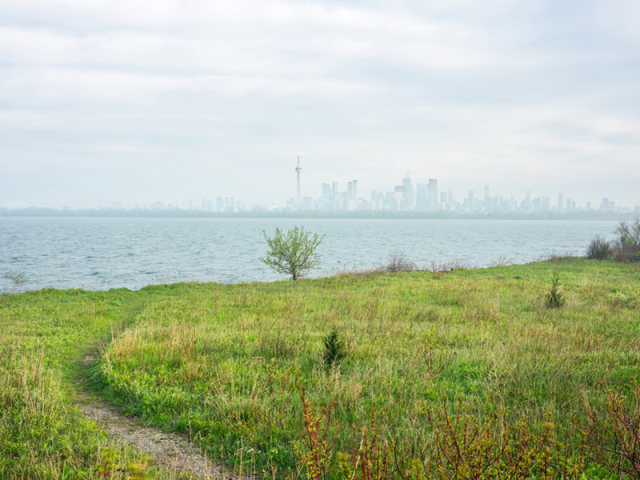 Robert Burley, View of Toronto Skyline from Lighthouse Point, Tommy Thompson Park, 2019