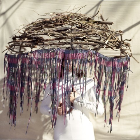 Meryl McMaster, Caduceus, 2010