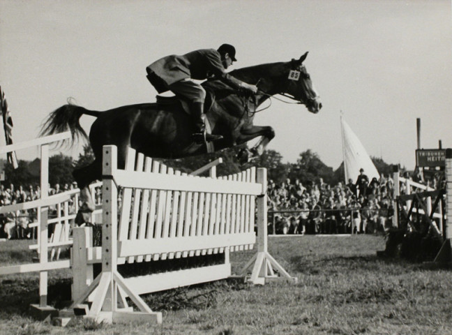 Fritz Spiess, Horse Jumper, circa 1950