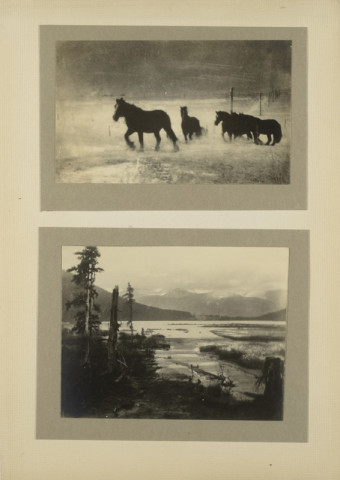 Minna Keene, Horses and Lake, circa 1914