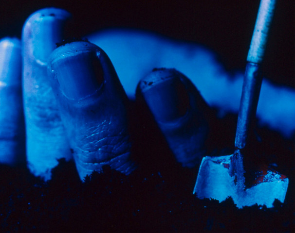 Cynthia Greig, Shovel, 2002