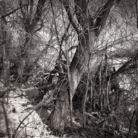 William Eakin, Shelter B300439, 2020