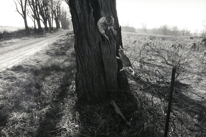 Larry Towell, Black Locust Tree, Lambton, Ontario, Canada, 1990