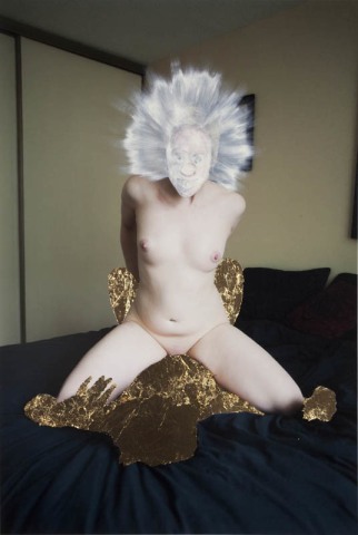 Sarah Anne Johnson, Monster, 2013