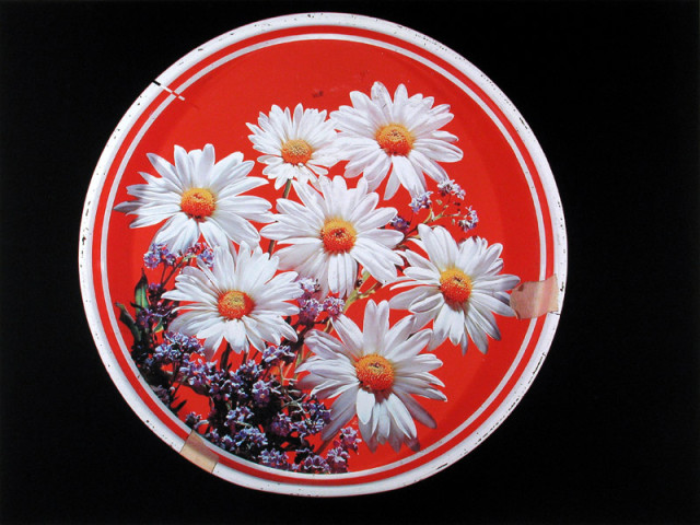 William Eakin, Night Garden 25, 2001