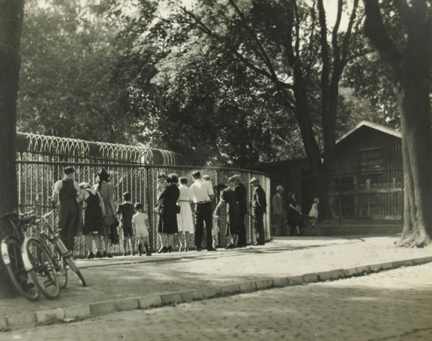 Charles Devenish Woodley, Riverdale Zoo, Toronto