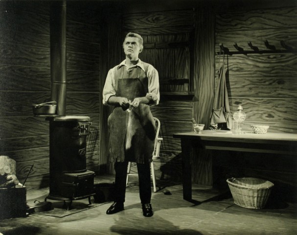 Fritz Spiess, TV Commercial