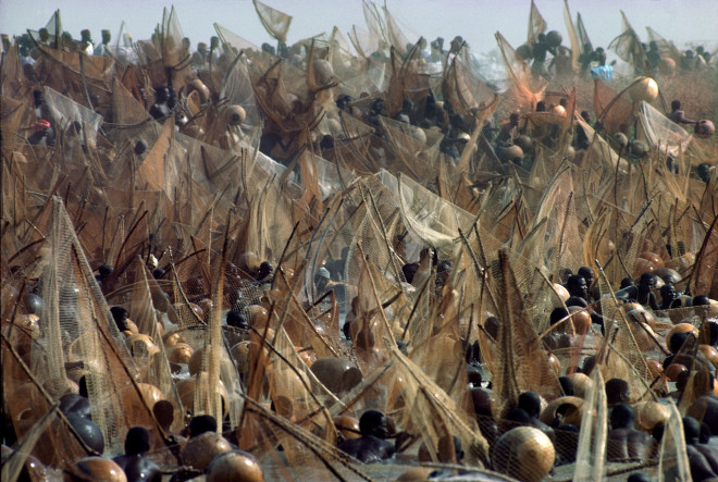 Bruno Barbey, Fishing festival on the Niger River, Sokoto, Nigeria, 1977