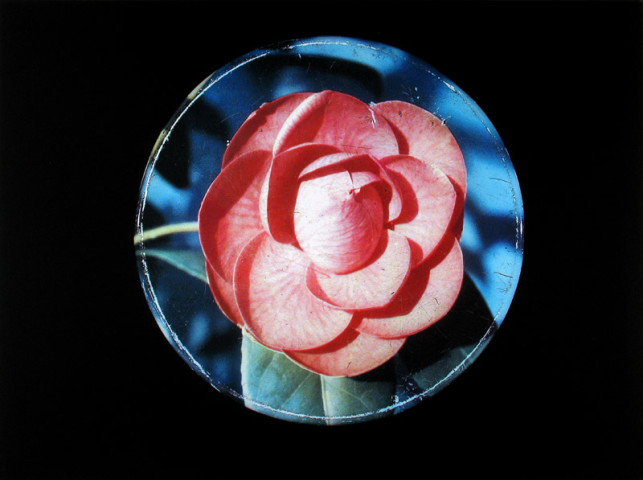 William Eakin, Night Garden 2, 2001