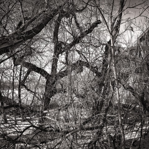 William Eakin, Shelter C010773, 2020