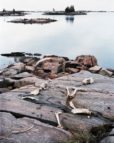 Joseph Hartman, Moose Bones #11, Norgate Inlet, ON, 2008