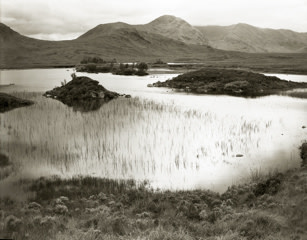 Robert Bourdeau, Scotland, 1985