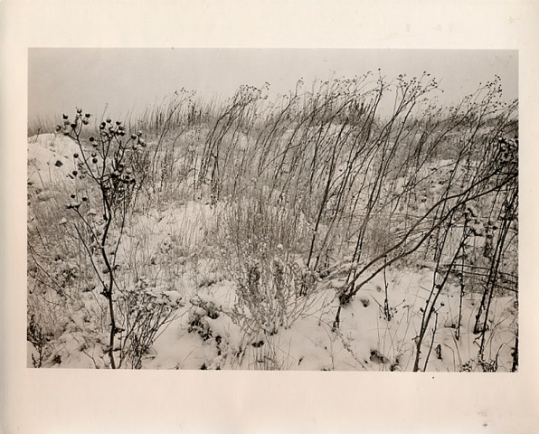 Douglas Clark, Canmore [field in snow], circa 1980