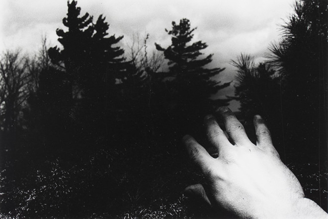 Larry Towell, Untitled [Hand and trees], 1974