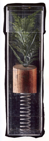 Douglas Clark, Conifer and Spring, 1987