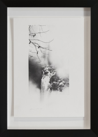 Simon Edwards, Study Waterfall (Maple), 2018