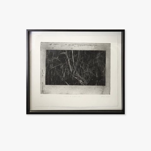 Fiona Van Oyen, Warp & Weft #1, 2021