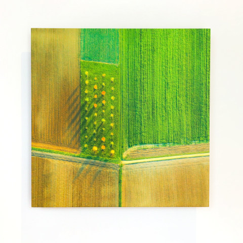 Elizabeth Thomson, Lateral Series - study V, 2022