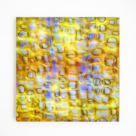Elizabeth Thomson, Amritsar, 2023