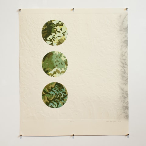 Fiona Van Oyen, Flow, 2025