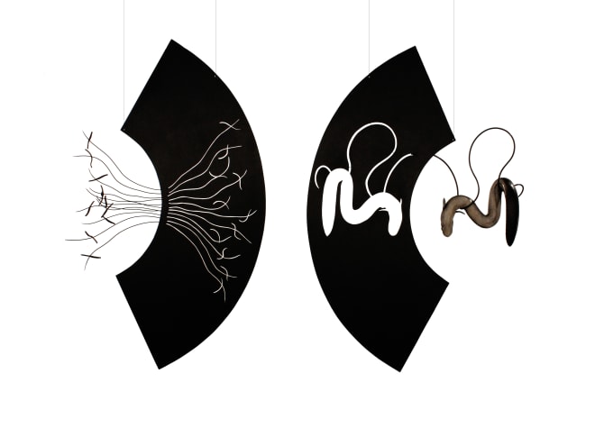 Bing Dawe, Downstream under Aoraki - tuna with barrier, 2018