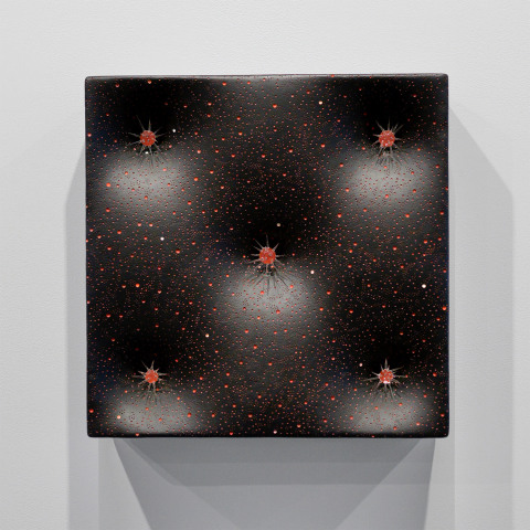 Elizabeth Thomson, Red Shift, 2007-09