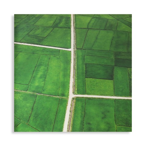 Elizabeth Thomson, Lateral Series - study I, 2022