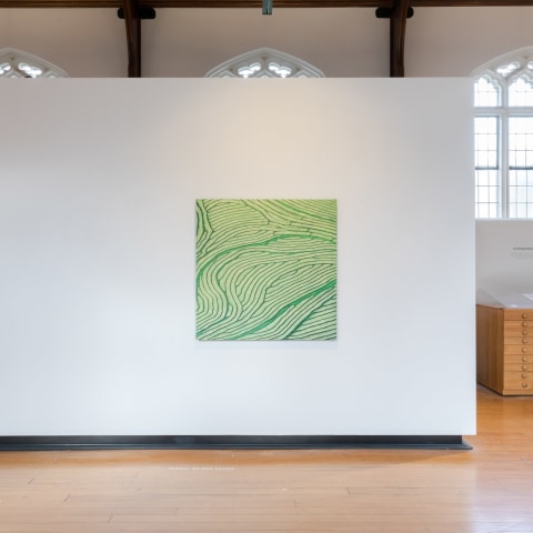 Elizabeth Thomson, Lateral Series – Habitable Zones : Braided Laterals , 2022