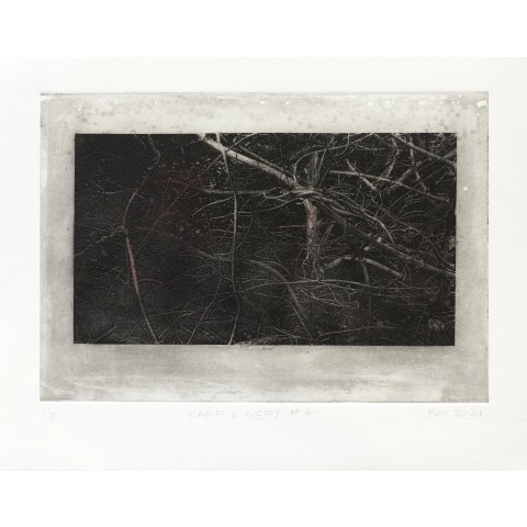Fiona Van Oyen, Warp & Weft #4, 2021
