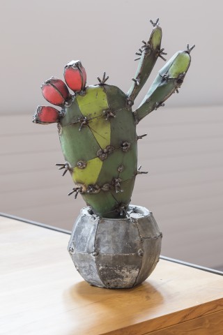 Hannah Kidd, You Are Tiny, Cactus, 2019