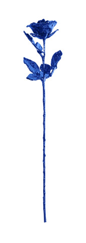Reuben Paterson, Wallflower (cobalt), 2019
