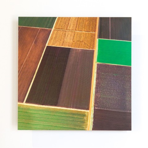 Elizabeth Thomson, Lateral Series - study VII, 2022
