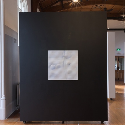 Elizabeth Thomson, Luna Ghosts , 2016-17