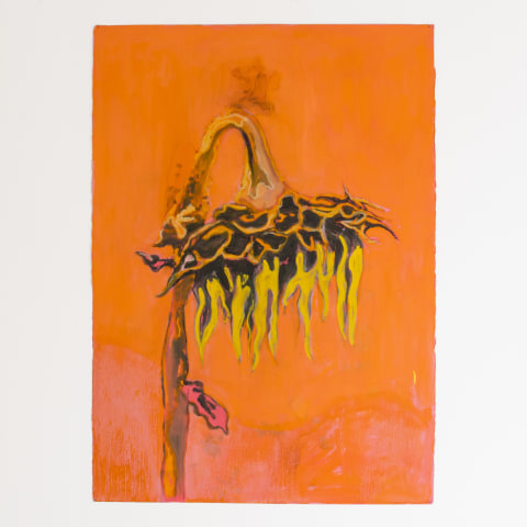 Pete Wheeler, Blume (study), 2024