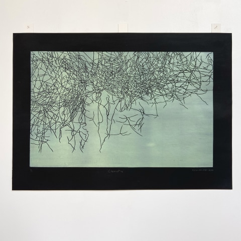 Fiona Van Oyen, Clematis, 2022