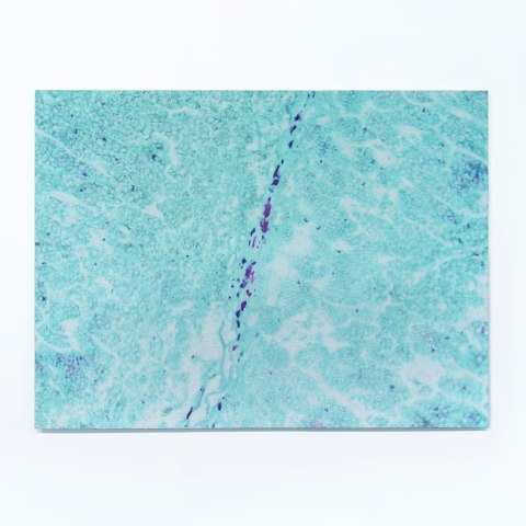 Elizabeth Thomson, Delta, 2009