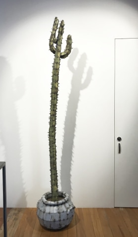 Hannah Kidd, Love You Long Time, Cactus, 2018