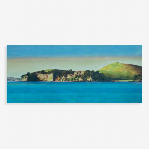 Stanley Palmer, Behind Motukorea (Browns Island), 2022