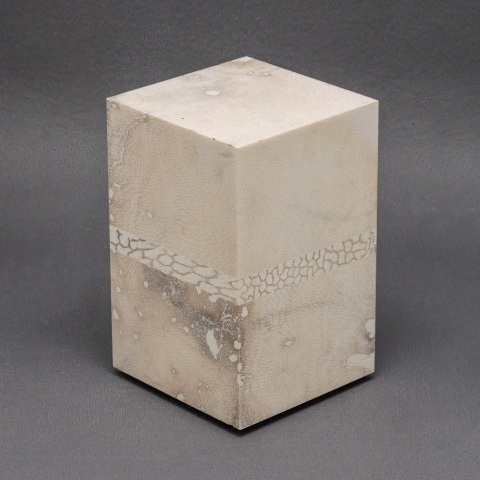 Chauncey Flay, Seawall #58, 2024