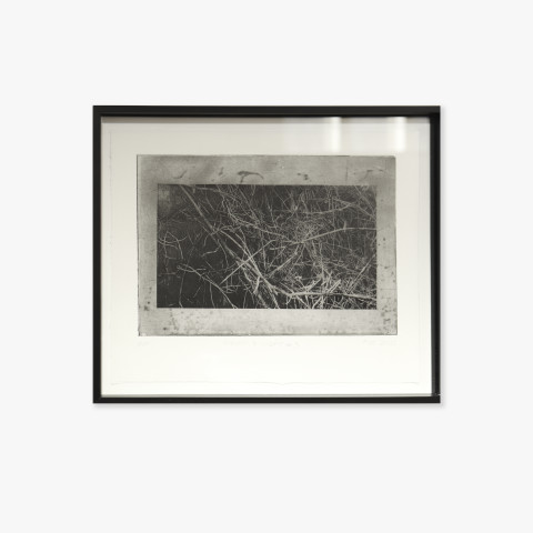 Fiona Van Oyen, Warp & Weft #3, 2021