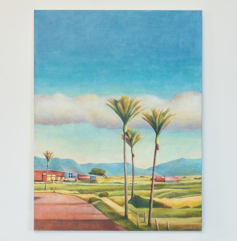 Stanley Palmer, Road and Sheds - Karamea, 2022