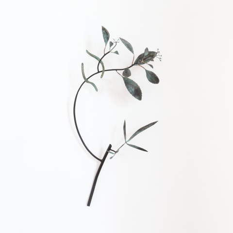 Bing Dawe, Arbordiverse - Pseudopanax with Eels, 2021